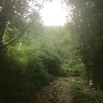 Ca' Rosina. Casetta Nel Bosco.