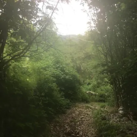 Ca' Rosina. Casetta Nel Bosco.