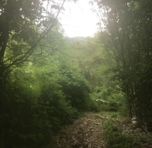 Ca' Rosina. Casetta Nel Bosco.