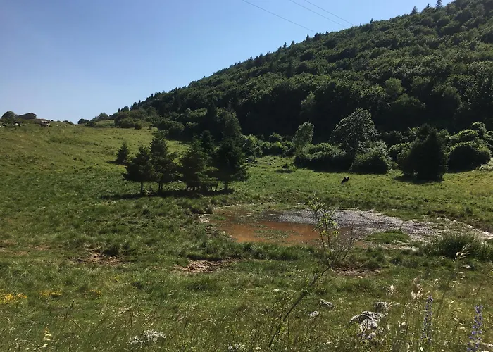 Ca' Rosina. Casetta Nel Bosco. Ferienhaus *